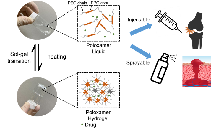 Sprayable or injectable thermo-sensitive hydrogels